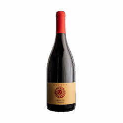 2024 Merlot, trocken [BIO]