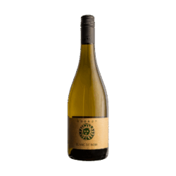 2024 Blanc de Noir [BIO]