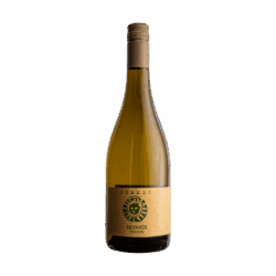 2024 Silvaner, trocken [BIO] ab 18 November 2025 wieder verfügbar